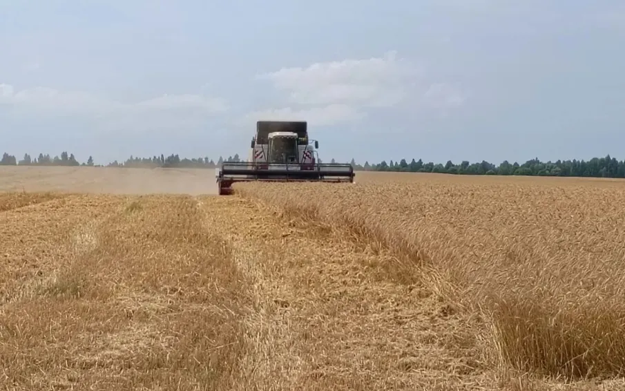 Уборочная кампания стартовала в Нижегородской области